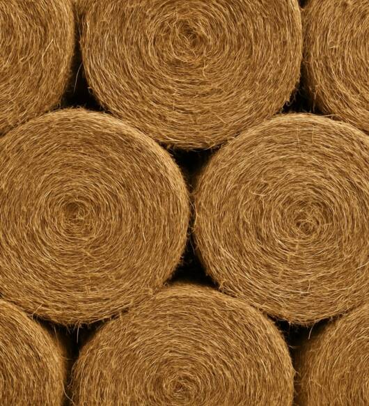Venta de Rollos de Hierba seca cosecha 2025